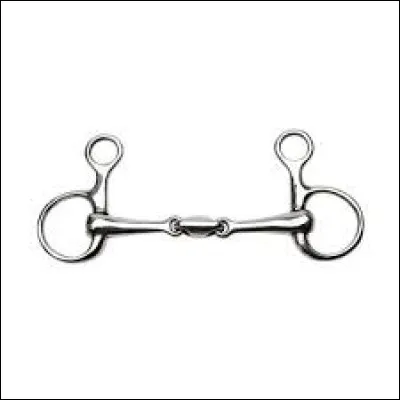 Comment s'appelle ce mors ?