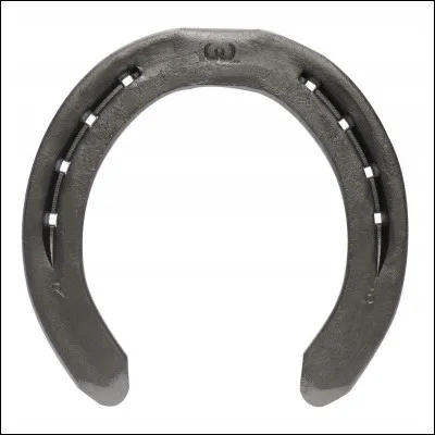 Combien de poinçons possède le fer postérieur ?