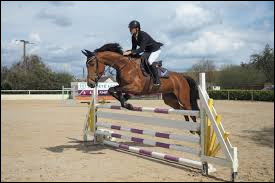 Quiz Galop 3