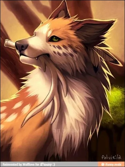 Aimes-tu les animaux ?