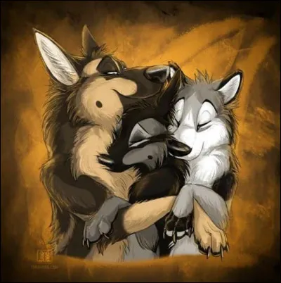 Quelle couleur pr&eacute;f&egrave;res-tu sur l'image ?