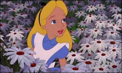 De quelle couleur est la chenille ?