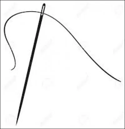 Cochez l'homme ayant écrit "L'Aiguille creuse" !