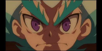 Quel est le nom de la toupie de Shirosagi Lui ?