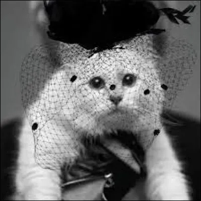 De qui Choupette &eacute;tait-elle la chouchoute ?