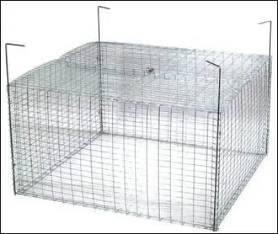 Phase d'évolution, c'est la...