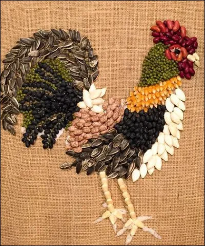 Outre la belle volaille, que peut être un coq ?