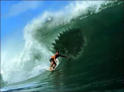 Quel est le plus dangereux des requins ?