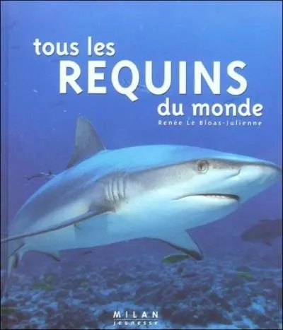 Combien de sortes de requins existe-t-il ?