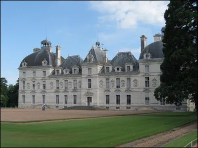 Celui-ci est représenté dans une bande dessinée très connue comme la demeure d'un capitaine injurieux. Il est un des châteaux les plus visités avec Chambord et Blois :
