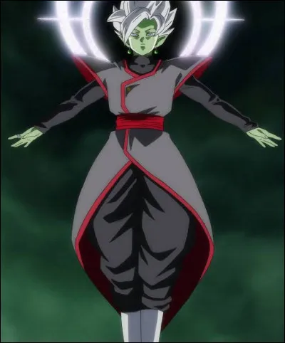 Qui d&eacute;truit Zamasu ?