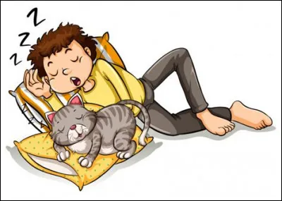 Qui sont les partenaires de sieste ?