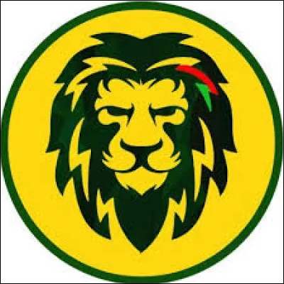 Quelle nation fut la première équipe africaine à atteindre les quarts de finale ?