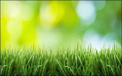 Comment pronnoncez-vous ?