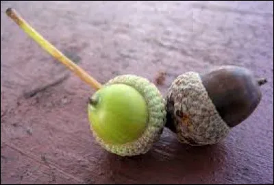 Je n'ose même pas te dire à quoi tu ressembleras si tu ne trouves pas le nom de ce personnage !