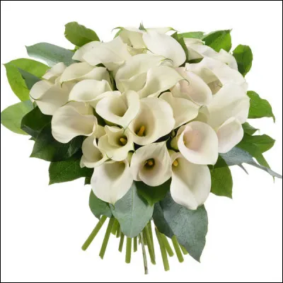 Alors que choisir pour le remercier ?