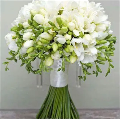 Quel sera votre mot gentil ?