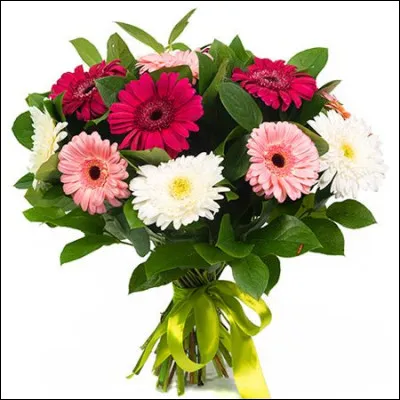 Comment lui dire merci ?