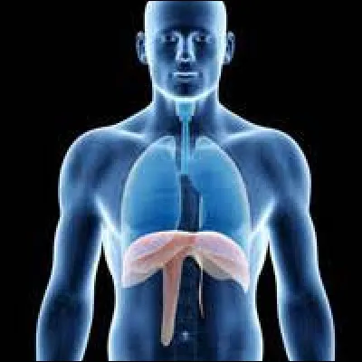 Cochez la bonne orthographe !