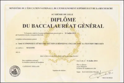 À quel âge passe-ton le bac normalement en France ?