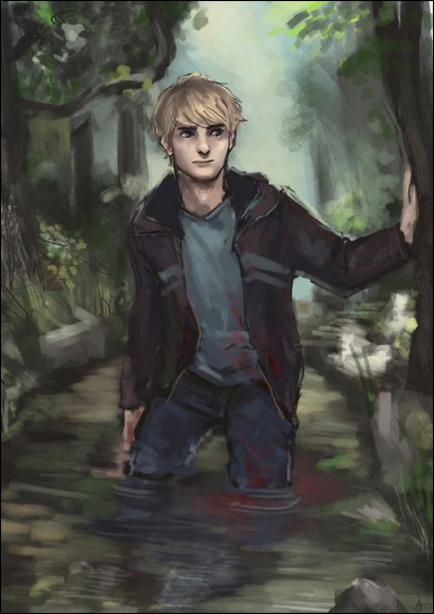 Alors pour rappel les jeux Hunger Games consistent à placer chaque année, deux adolescents de chaque district dans une arène. 
Il doivent s’entretuer et celui qui gagne apporte gloire et attention à son district. 
Donc, qui va combattre avec Katniss Everdeen ?