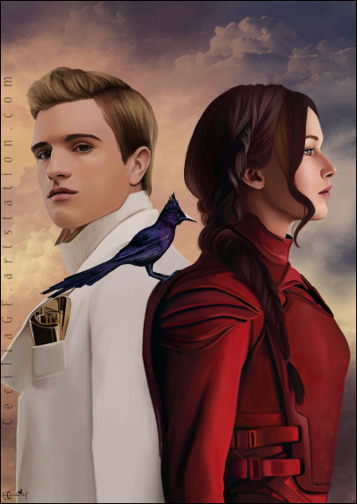 Le lendemain ont lieu les interviews des tributs. Cinna habille Katniss dans une robe représentant son nouveau surnom, la fille du Feu. Durant son interview, Katniss parle surtout de la raison pour laquelle elle s'est portée volontaire. Dans l'interview de Peeta, celui-ci avoue...