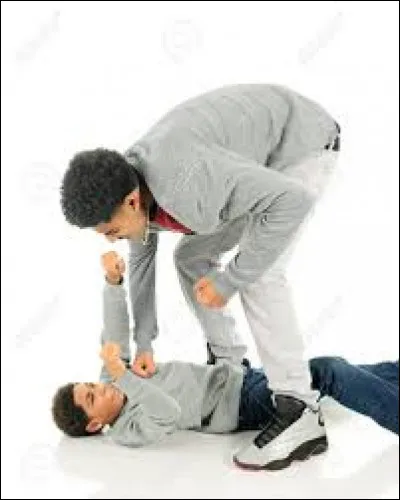 Qui a dit : "Pour t'expliquer, j'ai un grand frère qui est plus âgé que moi..." ?