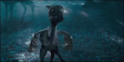 Qui est capable de voir les Sombrals comme Harry ?