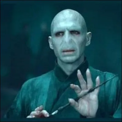 Combien de temps Lord Voldemort laisse-t-il aux élèves pour lui livrer Harry ?