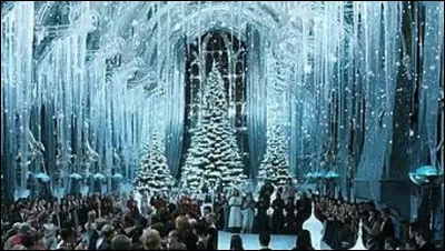 Parmi les amis d'Harry, qui s'entraîne à danser pour le bal de Noël ?