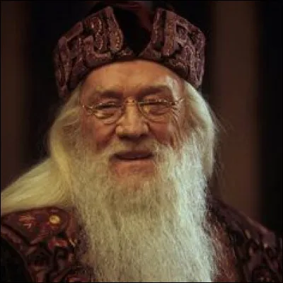 Selon Dumbledore, quelle est la source inépuisable de magie ?