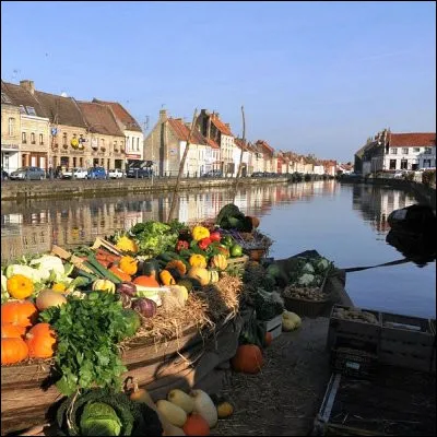 Quel fleuve fran&ccedil;ais passe par Saint-Omer avant de se jeter dans la mer du Nord ?