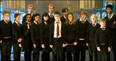 Qui sont les meilleurs amis de Harry Potter ?