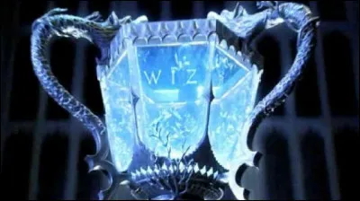 Qui sont les champions de Poudlard ?