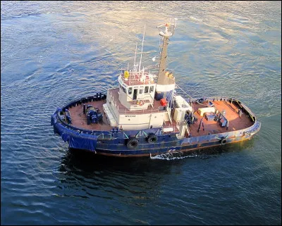 En fauconnerie, quel nom porte l'aide-fauconnier qui se place à distance pour suivre les oiseaux à vue afin de voir où est leur remise ?