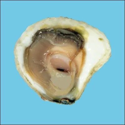 La nuile est une maladie qui frappe...