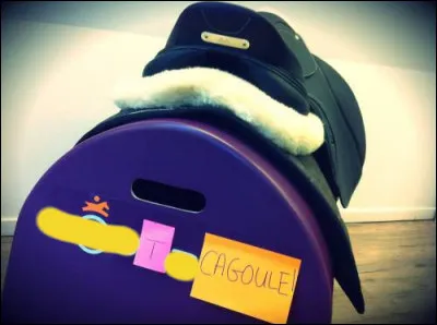 Ne soyez pas trop à cheval, pour le principe...