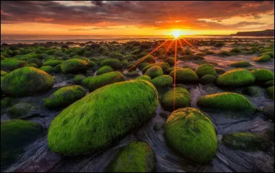 Quelle est la densité de population de l'Islande ?