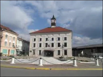 Moi comme Moirans : dans quel département se trouve cette petite ville, pas très loin de Voiron, où l'on récolte des noix célèbres sous le nom d'une autre ville ?