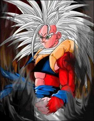 Quel est son super saiyen?