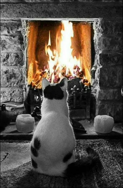 Quel était le nom de ce magazine créé en 1922 ?