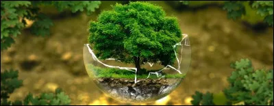 Dans la liste des cinq grands types d'énergies renouvelables trouve-t-on celles-ci : solaire, éolienne, hydraulique, biomasse et géothermie ?