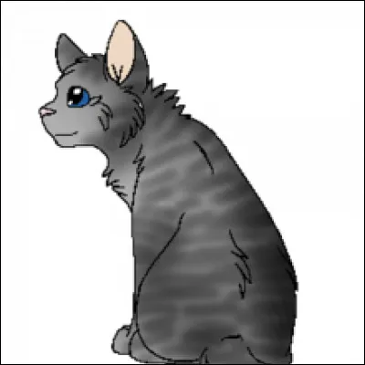 Qui est la compagne de Plume Grise ?