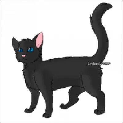 Où Griffe de Tigre envoie-t-il chasser Nuage de Jais ?