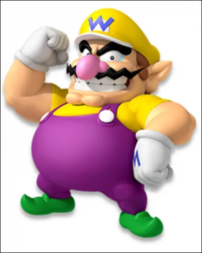 Qui est ce gros personnage dans Mario ?