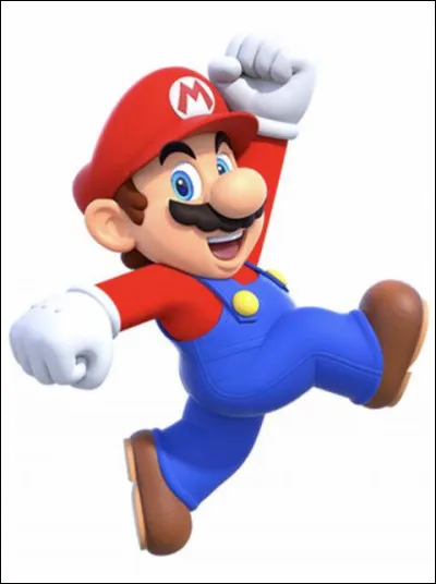 Qui est ce personnage très connu dans Mario ?