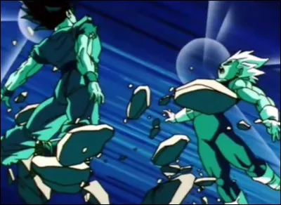 Comment s'appelle la fusion de Goku et Végéta (potaras) ?