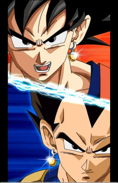 Combien de fusions existe-il dans tout l'univers du manga (OAV compris) ?