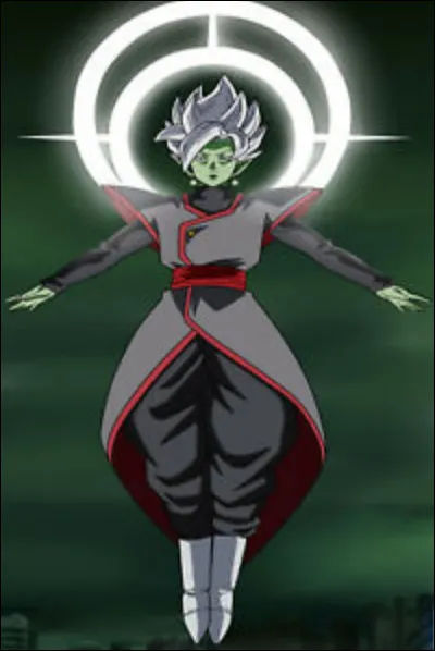 Par qui Zamasu fusionné est-il tué ?