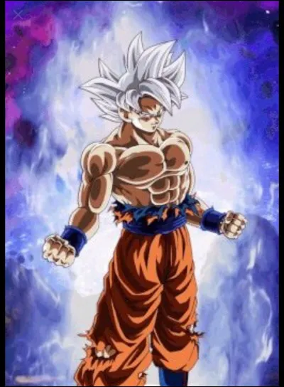 Combien de personnes ont maîtrisé l'ultra-instinct ?